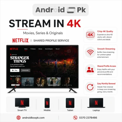 Netflix 4K Profile Monthly Subscription